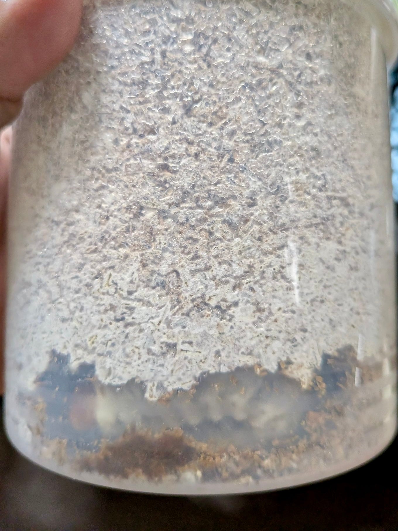 Beetle Breeding Substrate – Kinshi - Richard’s Inverts