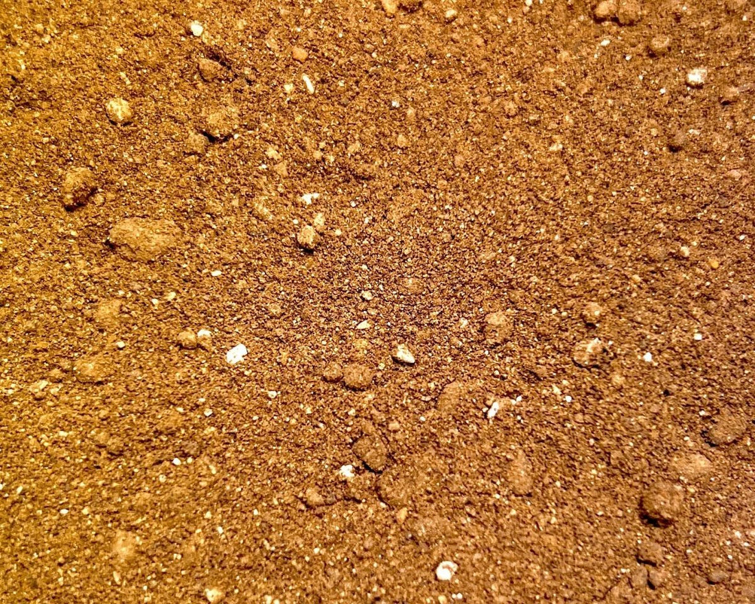 Bat Guano For Sale Isopod Supplies Richard's Inverts