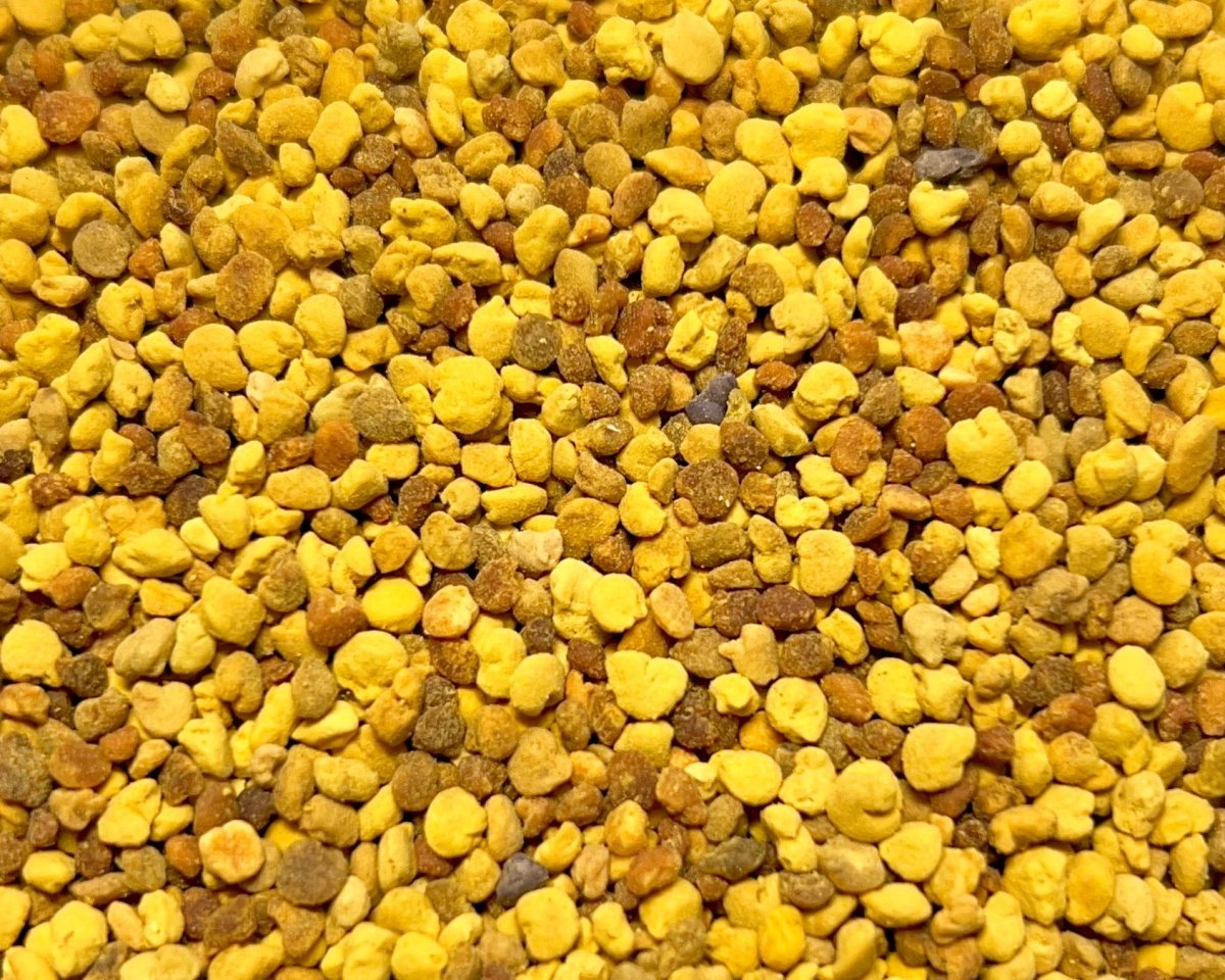 Isopod Supplement - Bee Pollen - Richard’s Inverts